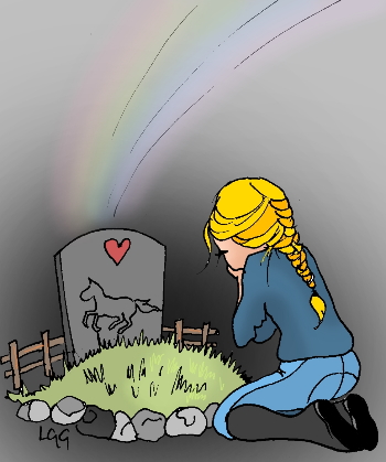 formation des élèves-moniteurs d'équitation